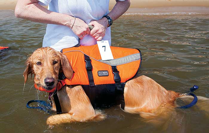 Outward Hound life jacket