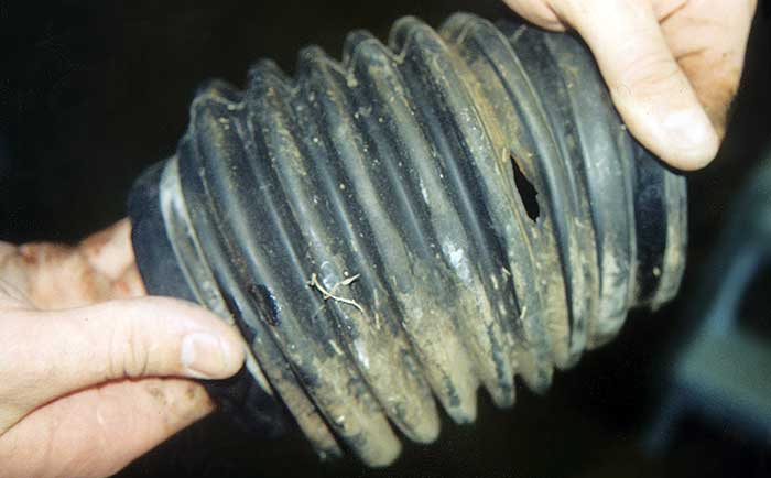 Cracked bellows from outboard drive