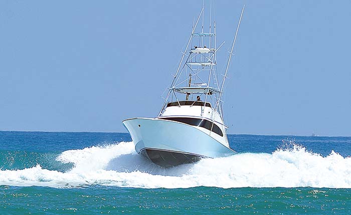 Sportfish hitting large breaking wave