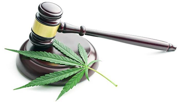 Cannabis leaf and gavel