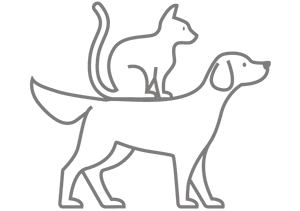 Cat on Dog Icon