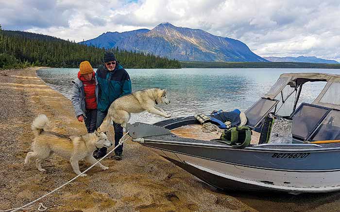 Dogs jumping onboard