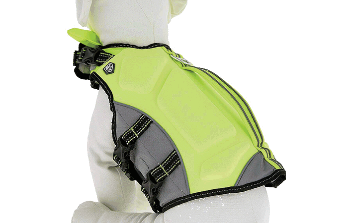 Arcadia Trail Life Jacket