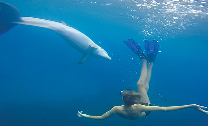 Underwater view of an adult male with blue flippers swimming next to a fish.