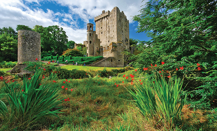 A large stone castle below fluffy white clouds and sunshine with lush green grass and red flowers in the foreground.