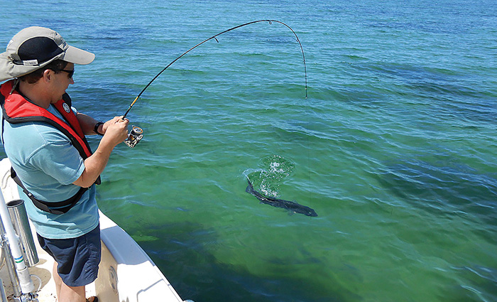 Adult male wearing a blue shirt, blue shorts, sunglasses and hat reeling in a fish.