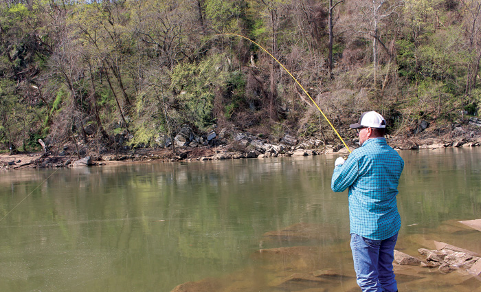 Man wearing a white ballcap, blue shirt and jeans fishing off the shore with a yellow rod.